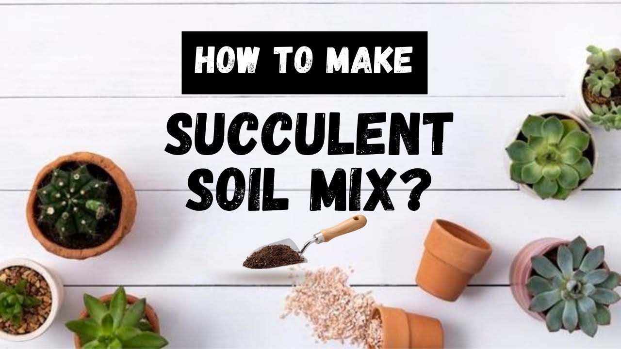 How to make Soil Mix for your Succulents!!!🪴| Best POTTING MIX RECIPE ...