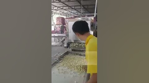 Malaysia Garlic Peeling Production Line Working Video