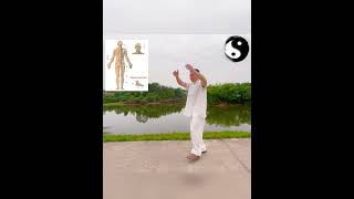 Seniors Can IMPROVE Wellness with Taichi Exercises for Bladder and Kidney Health