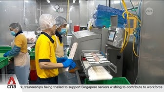 Thumbnail for 32 organisations in Singapore to test new solutions to make workplaces more age-friendly