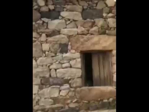 يا دار وين اهلج 