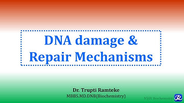 6: DNA damage and repair mechanisms | Molecular Biology| Biochemistry | N