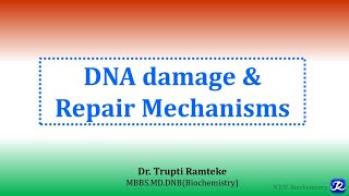 6: DNA damage and repair mechanisms | Molecular Biology| Biochemistry | N'JOY Biochemistry