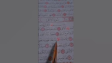 سبح أسم ربك الأعلى-سعد الغامدي تلاوة رأئعة تريح القلب ❤️-سورة الأعلى #قران #سعد_الغامدي #راحة_نفسية