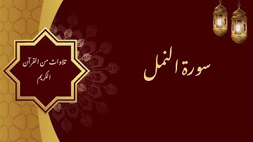 الشيخ عبد العزيز الراجحي/ سورة النمل