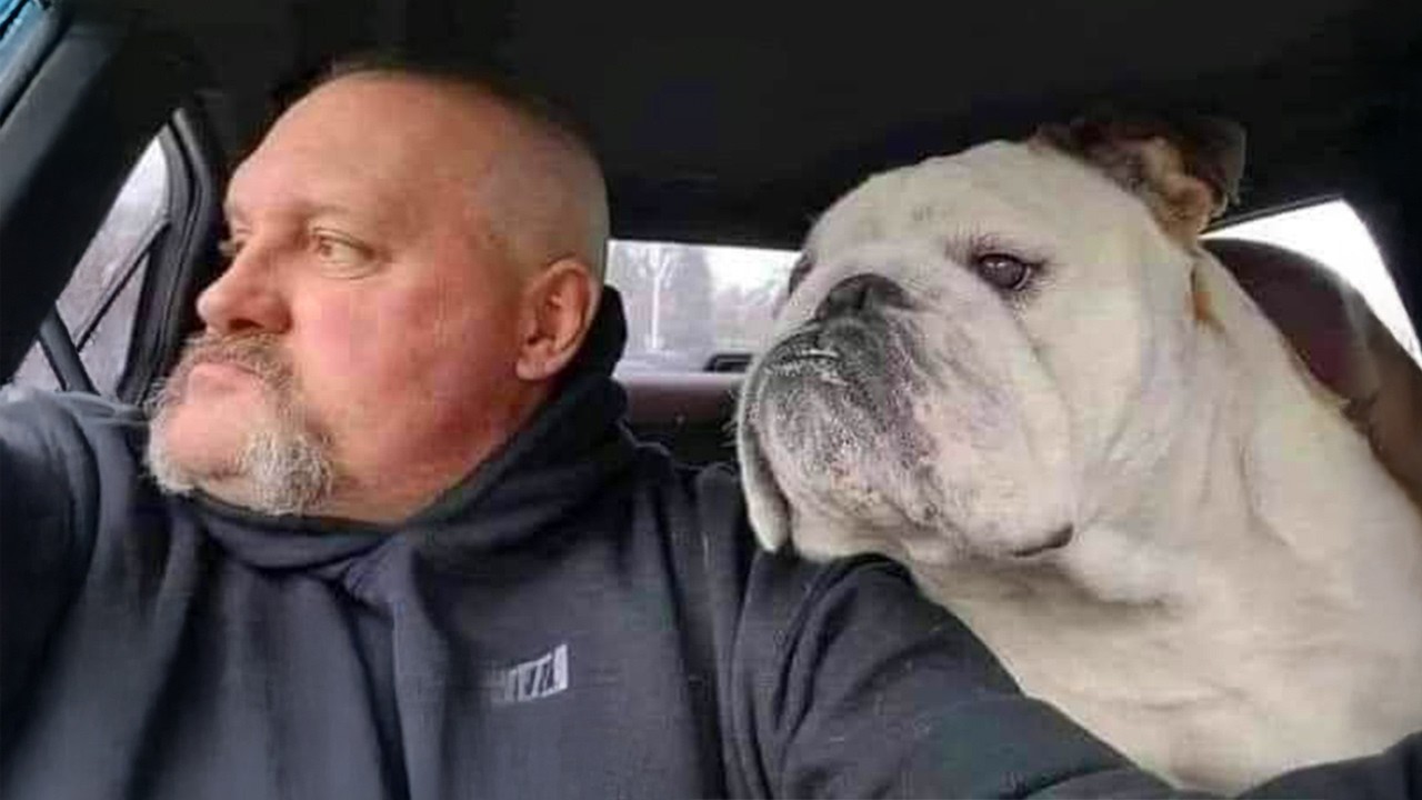 When Your Dog Hilariously Copies Everything Humans Do 🤣 Funny Dog and ...