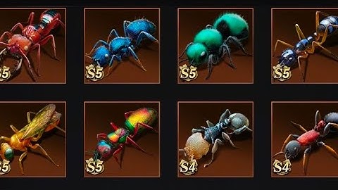 Season 5 new ants deep dive look