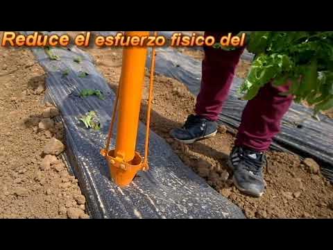 ProPlugger Herramientas Jardinería Plantador 5 en 1 - Plantador Manual de  Hortalizas para Jardín y Huerto - Pala Sembradora sin Esfuerzo de Bulbos de  Tulipanes, Flores, Arbustos, Césped, Semillas: .es: Jardín