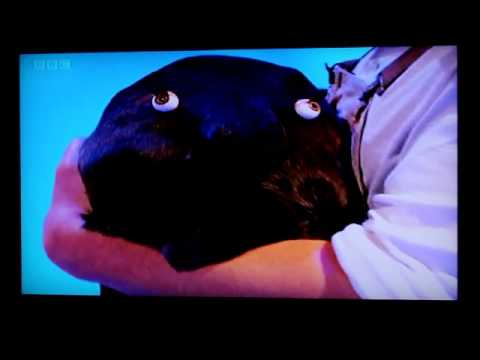 Shooting Stars 'The Duglet'  Series 8 Episode 4