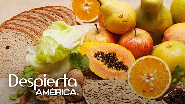 ¿Qué alimentos tienen mucha fibra y te llenan rápido?