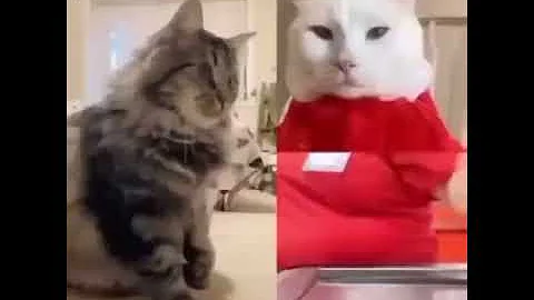 面白画像吹いたら負け