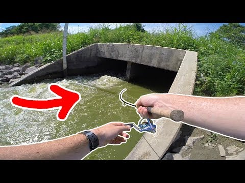 STATE RECORD Size Mystery Fish DEEP Inside TUNNEL!!! (Dream Catch)