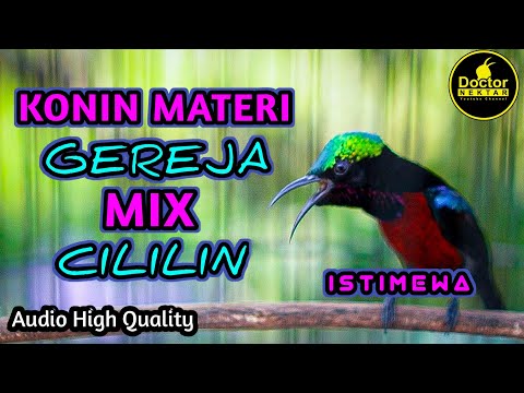 KOMPILASI MASTERAN KONIN JUARA FULL ISIAN JERNIH FULL ALBUM - COCOK UNTUK MASTERAN KOLIBRI NINJA !!