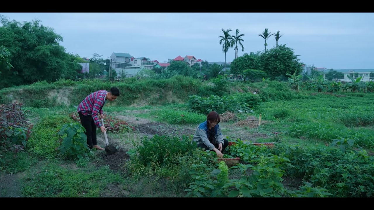 CHỦ TỊCH VỀ QUÊ CUỐC ĐẤT TRỒNG RAU BỊ NGƯỜI YÊU CŨ COI THƯỜNG VÀ CÁI KẾT | CHỦ TỊCH GENZ TẬP 51