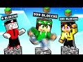 SOPRAVVIVI CAMMINANDO 1.000.000 di BLOCCHI su UN PILASTRO DI BEDROCK in MINECRAFT!