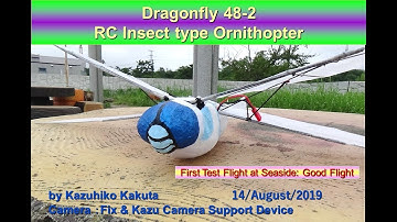 Dragonfly48-2:First Test Flight at Seaside Good Flight