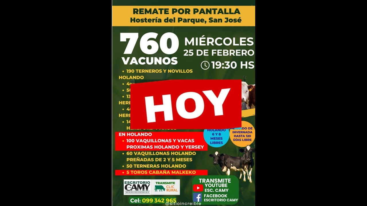 25/02/2026  Pantalla Camy | Clic Rural