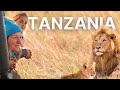 Serengeti Safari in Tanzania | Ngorogoro Crater | Hot Air Balloon