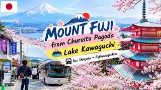 Mount Fuji Chureito Pagoda, Lake Kawaguchi & Bus Shinjuku to Fujikawaguchiko | Japan With Me S02E08