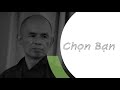 Chọn bạn - Trích Pháp thoại Sư Ông Làng Mai 19/07/1998