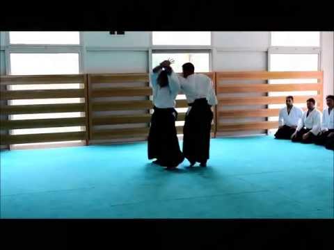 Extraits de stage des clubs du Languedoc Roussillon au Shumeikan, Bras