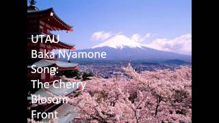 The Cherry Blossom Front