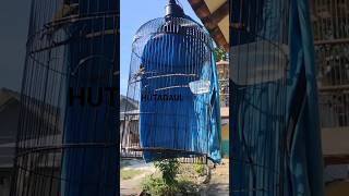 Download Lagu SOGON MATERI CILILIN MP3