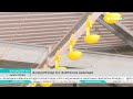 Жаңақорғанда құс фабрикасы ашылады