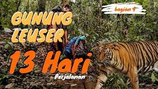 Berjumpa Harimau Sumatera || Pendakian Gunung Leuser 2021 || Bagian 4