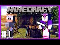 Silver & Blaze Play Minecraft Part 1 - Marine Crashes In!