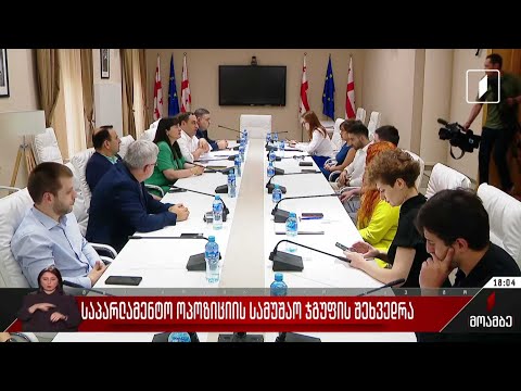 საპარლამენტო ოპოზიციის სამუშაო ჯგუფის შეხვედრა