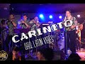 Cariñito Orquesta Latin Vibes Desde Canada Victoria B C 