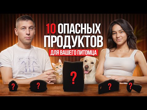 Опасные продукты для кошек и собак.