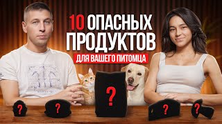 Опасные продукты для кошек и собак.