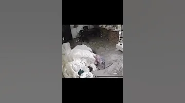 ضرب وسحل في شقه هدير عبد الرازق المشير اكسبلور شير دويتو شلتنا كوميدي اكلتك Funny 