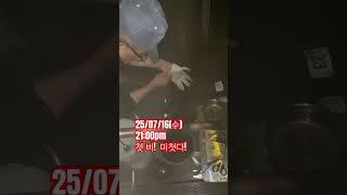 25/07/16(수) 첫 비! 폭풍 입질중! #낚시 #생활꿀팁 #메기채비 #낚시터 #낚시용품 #메기낚시터 #미끼 #떡밥낚시 #어분 #붕어낚시 #민물낚시