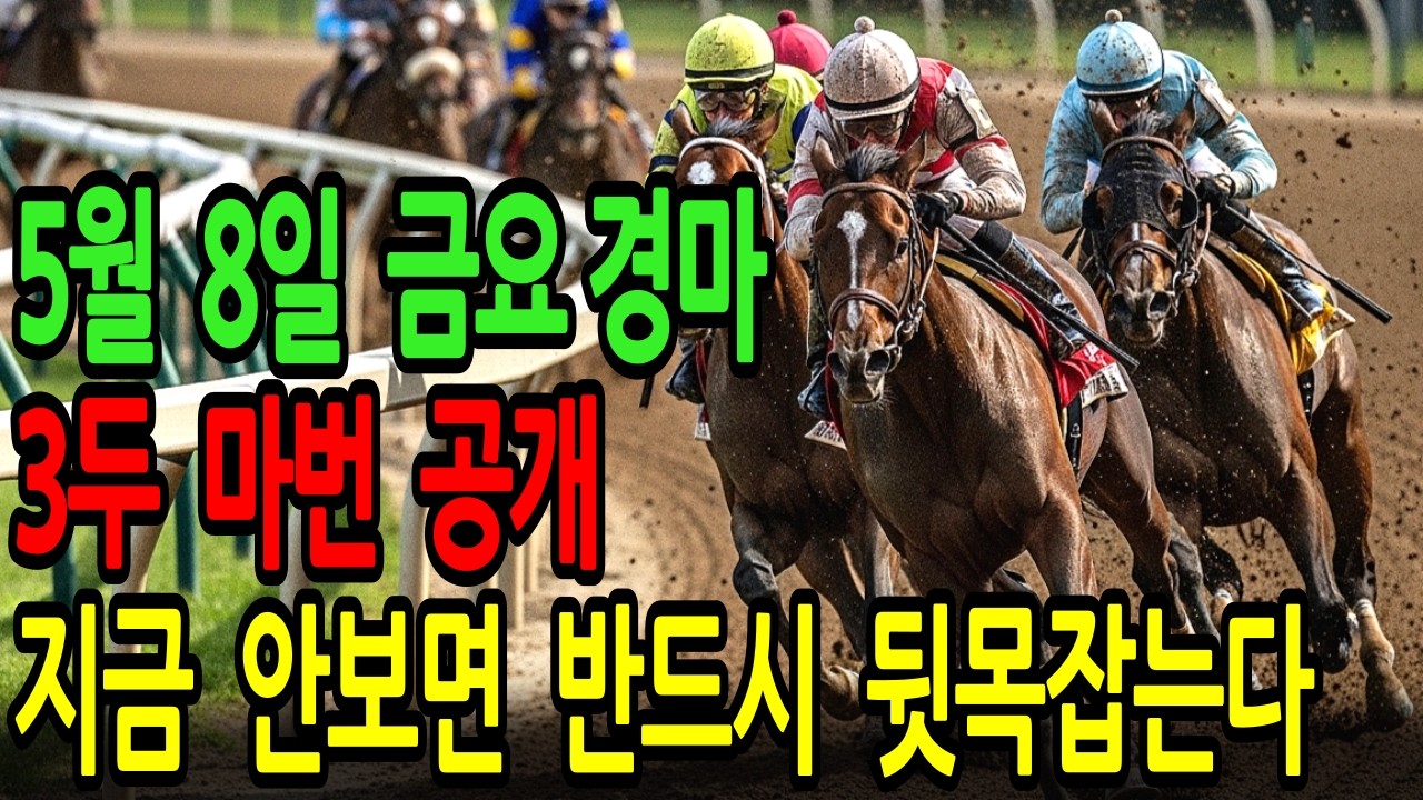 5월 8일 금요일 경마~  초고배당 안 보면 그냥 호구 됩니다  l 경마 l 경마예상 l 코리아레이스 l 검빛경마 ㅣ경마정보