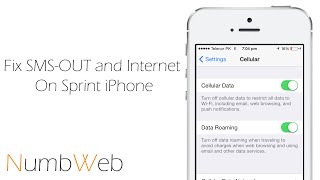 How to: Fix Internet, SMS and USSD code issue on Sprint iPhone screenshot 2