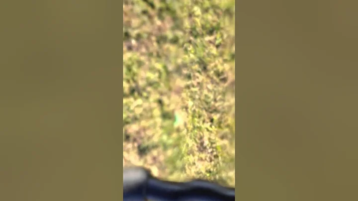 Quadcopter and iphone - take 1