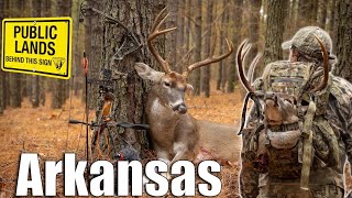 Hunting Down the BIGGEST Buck of my Life! (You Won't Believe What Happened)