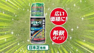 シバキープエース液剤 2026　シバキープNAVI 芝生用除草剤シバキープシリーズ