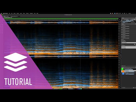 Song Unmixing Across Different Genres | SpectraLayers 10 Tutorials