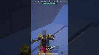  For Pros Only