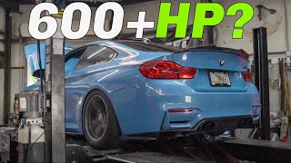 CUSTOM TUNED BMW F82 M4 WITH VARGAS TURBOS DYNO RESULTS!