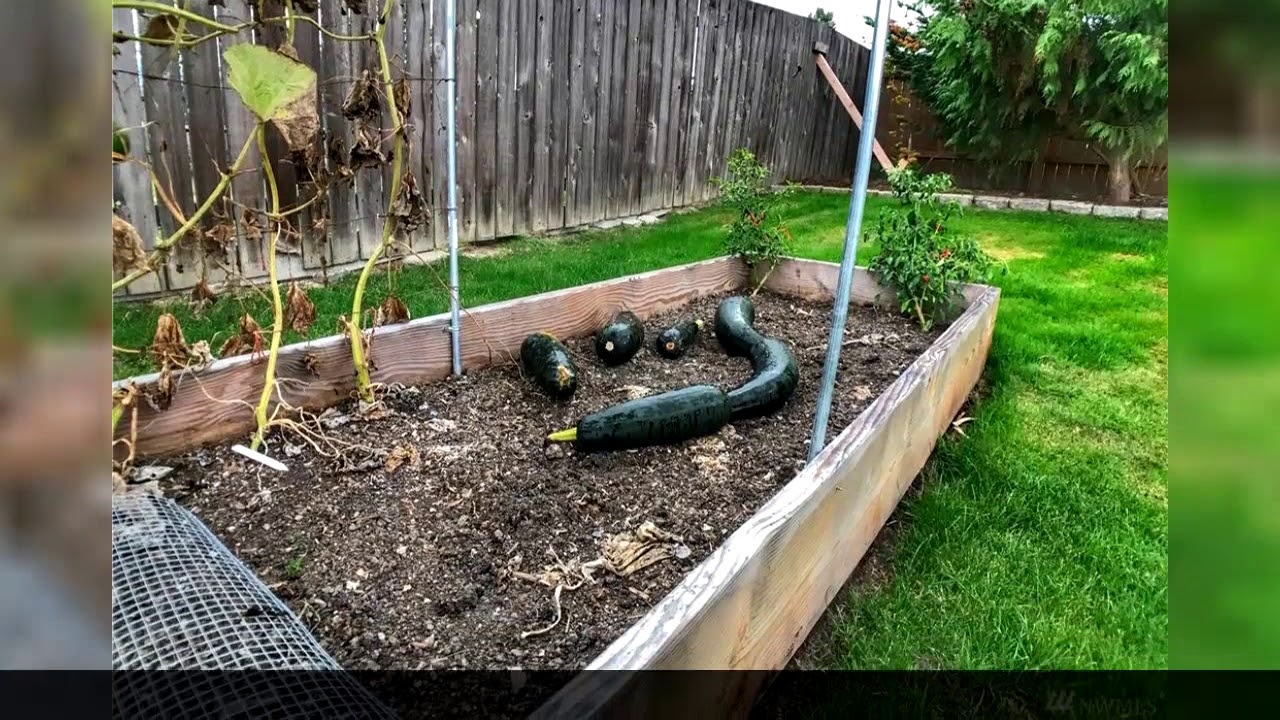 Mount Vernon Home For Sale - 1803 E Fox Hill St, Mount Vernon, WA 98273