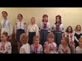 Т Петриненко Україно Виконує ансамбль Зіронька ЗДШМ 3 Викладач Євдокімова О П