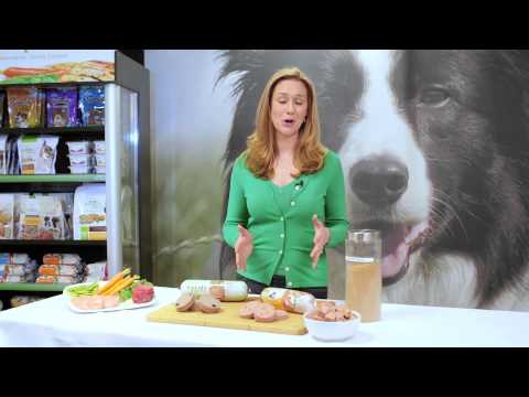 Dr. Katy Explains What Makes Freshpet So Different - YouTube