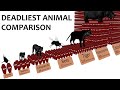 Deadliest animal comparison probability and rate of death