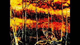 Moonsorrow - 01 - Ukkosenjumalan Poika