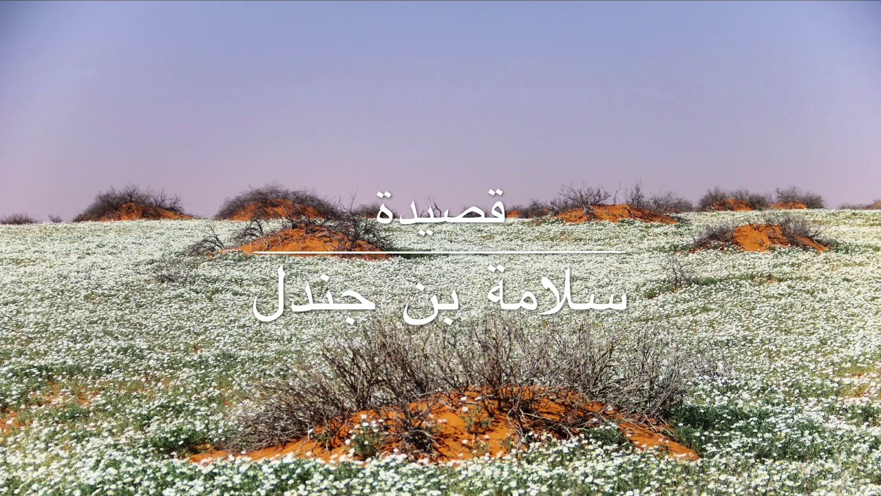 قصيدة سلامة بن جندل: أودى الشباب حميدًا ذو التعاجيب